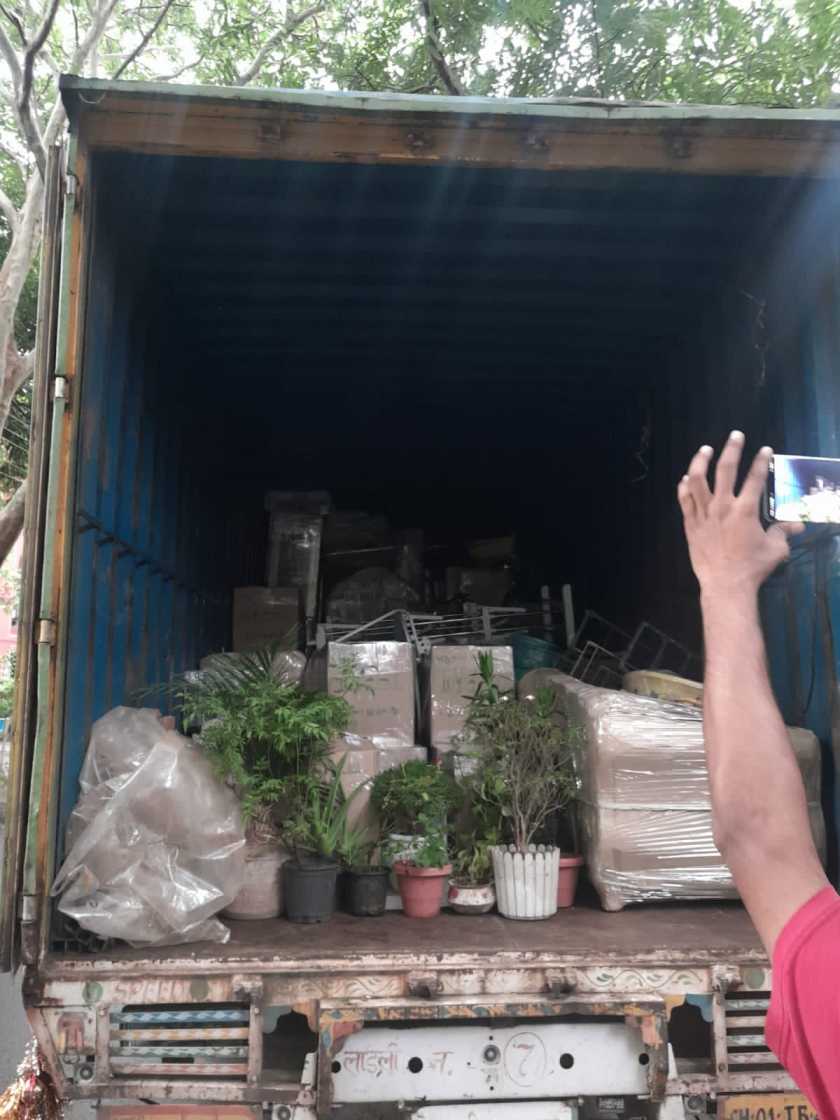 Wrapped items and potted plants at the rear of a truck